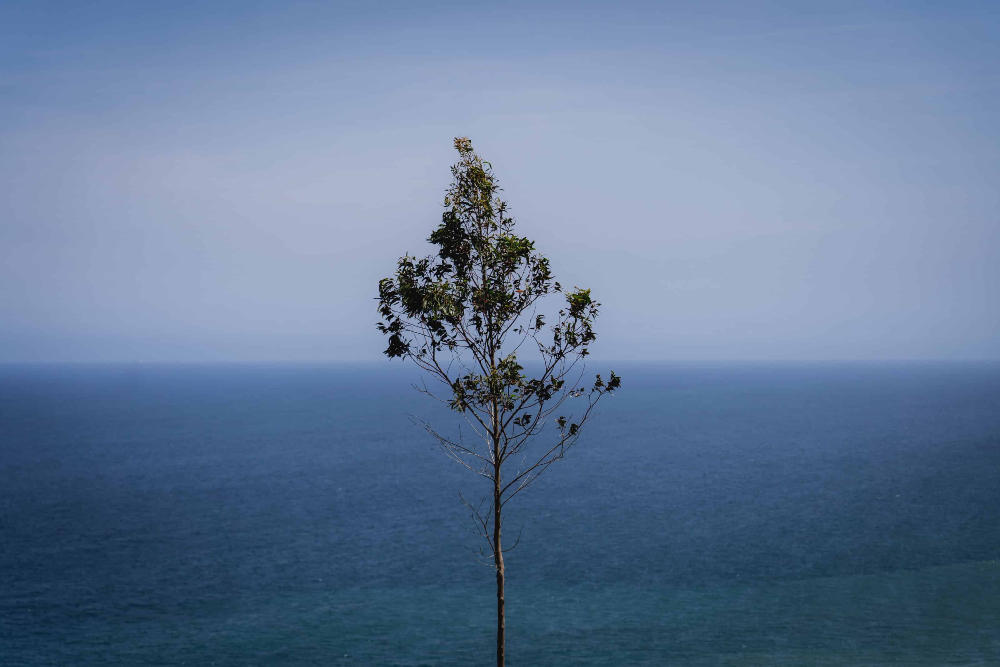 Colors in Photography: Everything You Need To Know About Blue | Learn ...