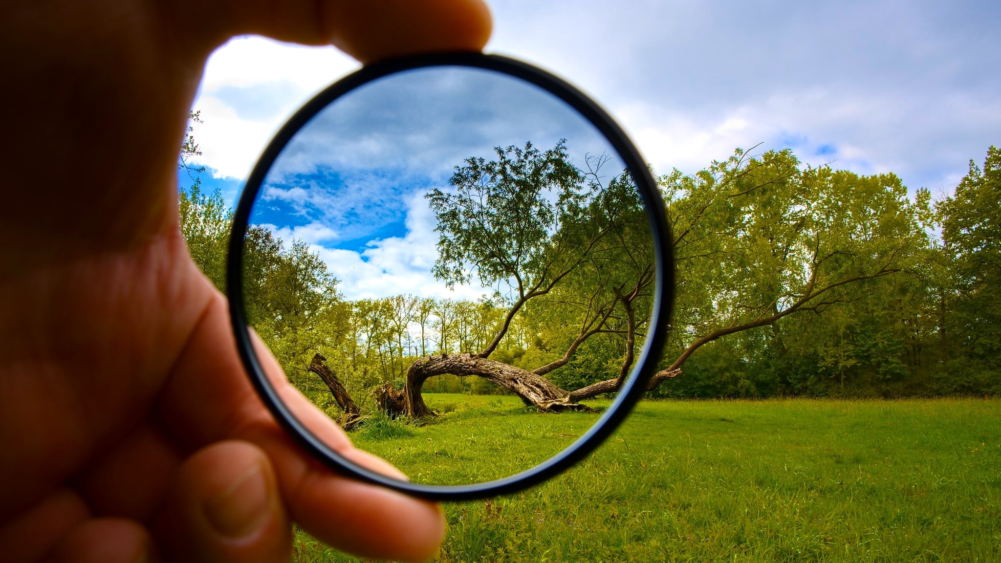 Camera Lens Filters and What They Can Do for Your Photos | Learn ...