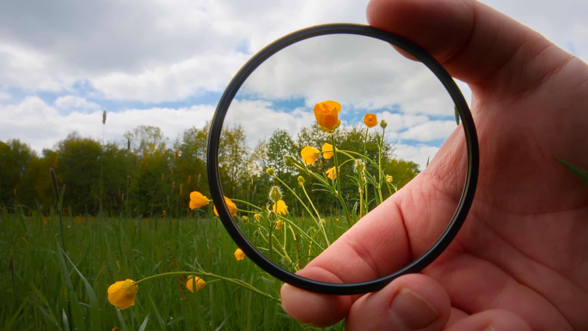 Camera Lens Filters and What They Can Do for Your Photos