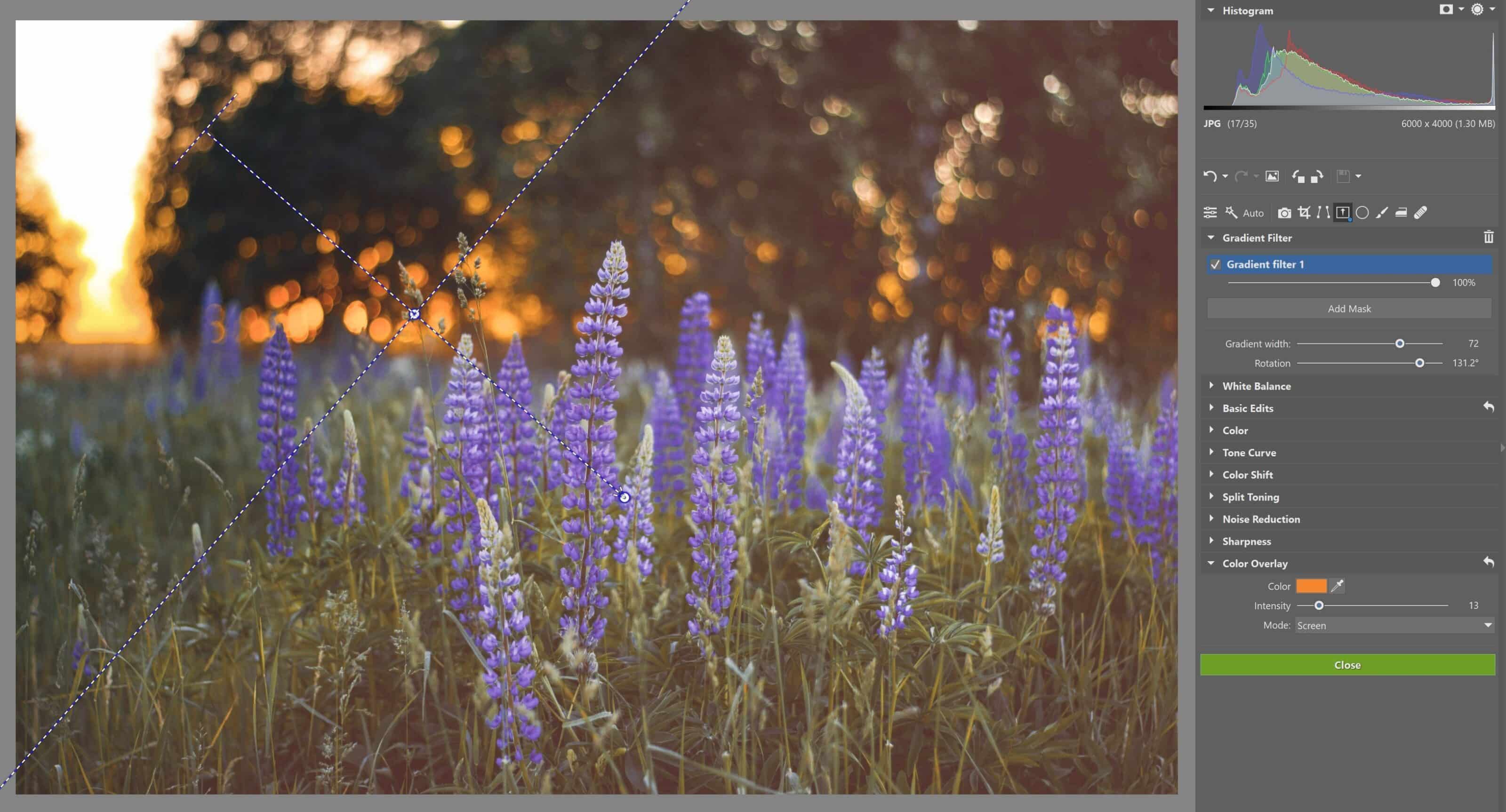 Filtr Gradient Transition 5 Easy Tips for Getting Dreamy Photos in Zoner Studio | Learn ...