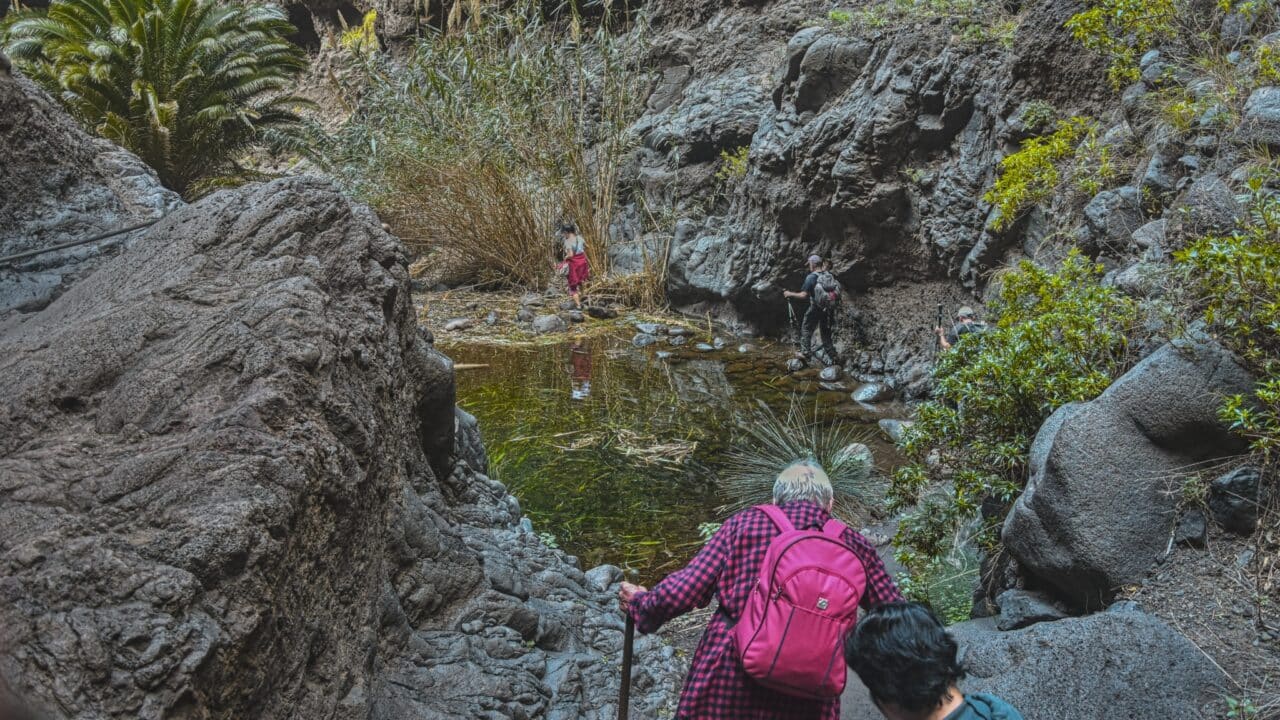 Tenerife