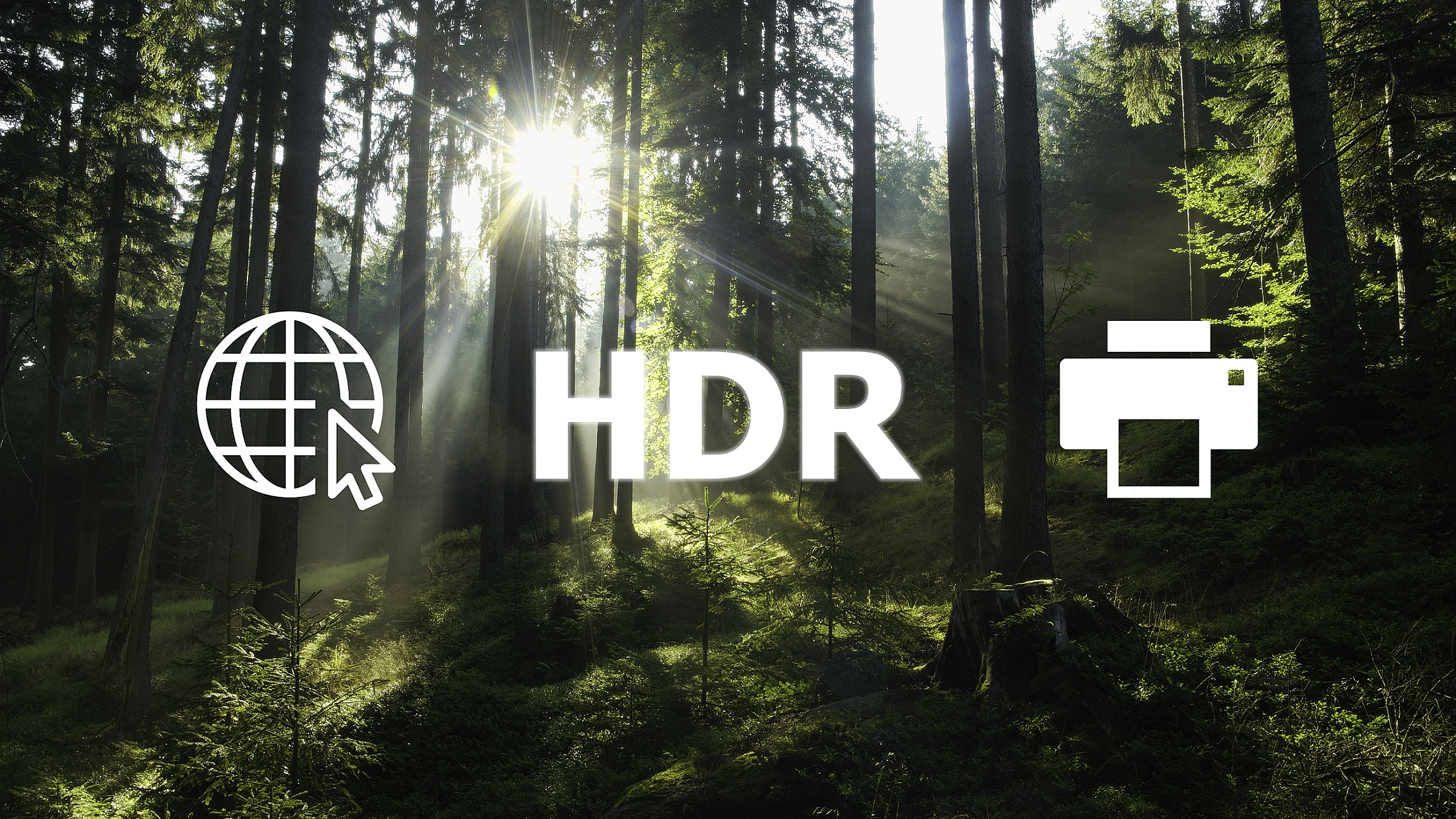 Printing and Sharing HDR Photos Online