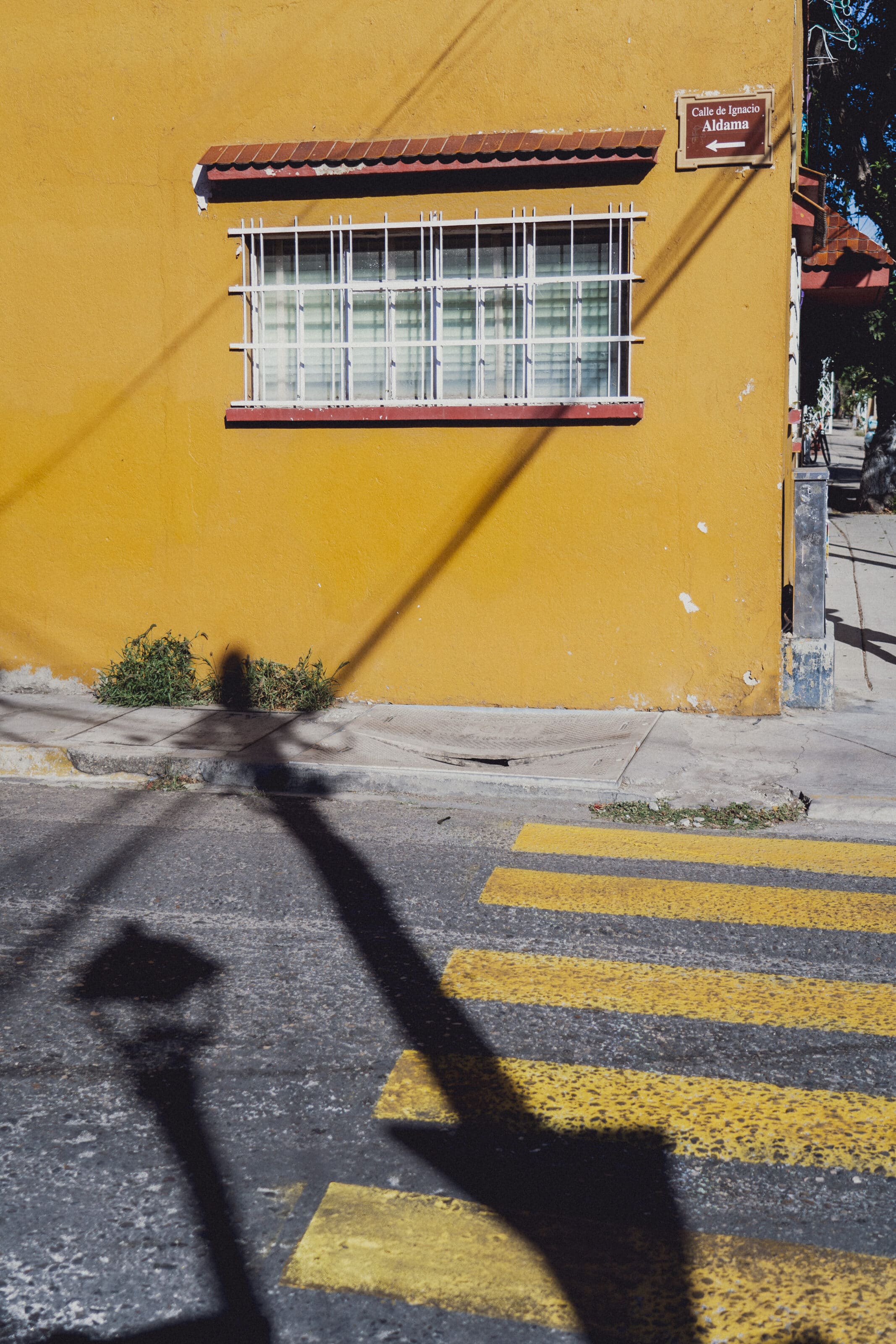 Yellow Photo Example Colors in Photography: Everything You Need to Know About Yellow | Learn ...