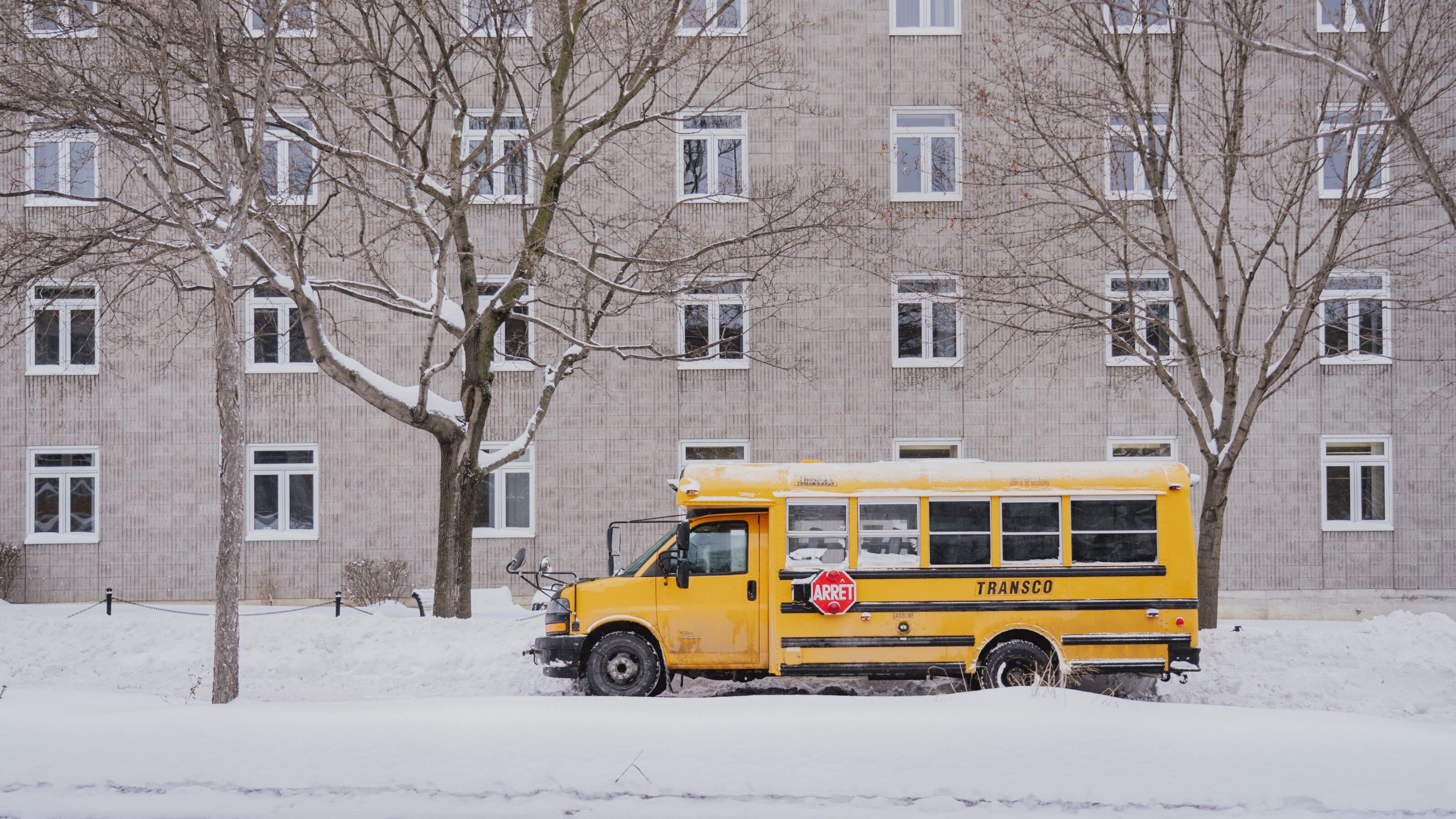 Colors in Photography: Everything You Need to Know About Yellow