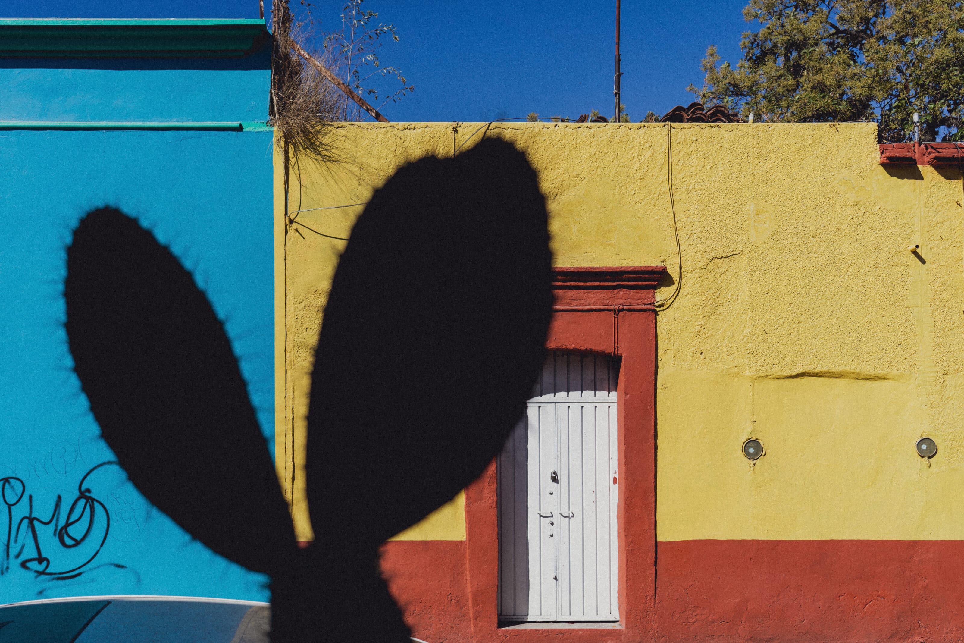 Colors in Photography: What the Colors in Your Photos Communicate ...