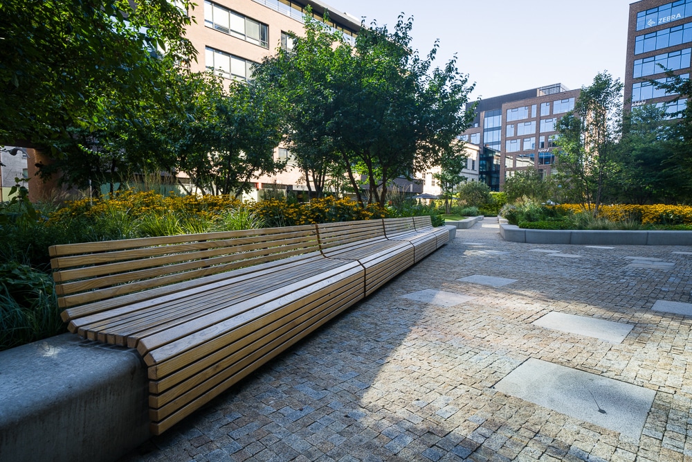 Ultra Wide-Angle Lenses, bench 19mm