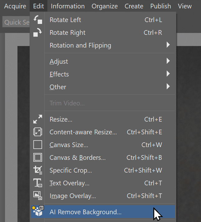 Zoner Studio 2024 Fall Update, remove background manager