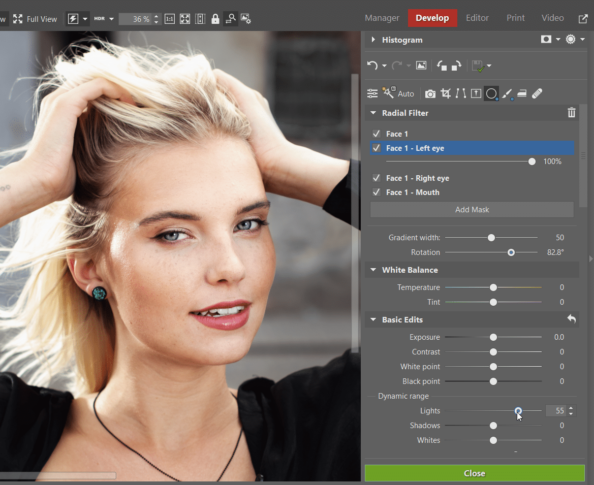 Tune Your Portraits with the Power of AI, settings