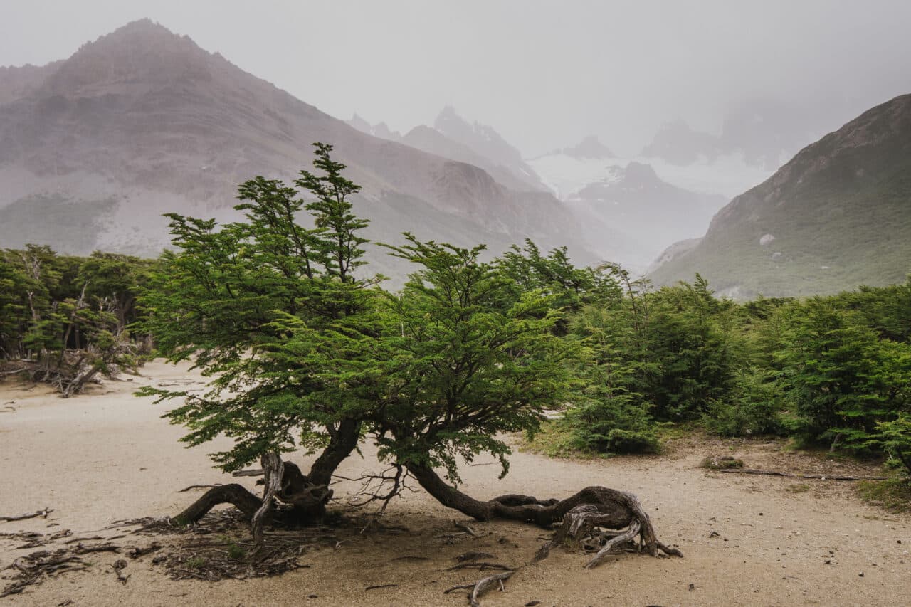 Different Types of Natural Light, Overcast skies and fog