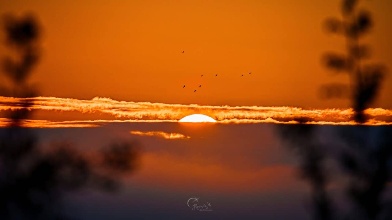 APS-C vs. Full-Frame, sunset