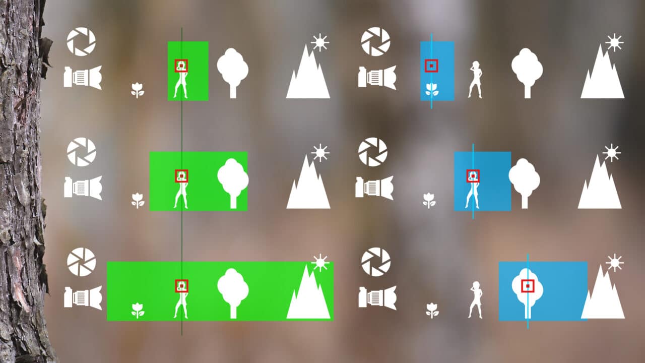 APS-C vs. Full-Frame, graphic