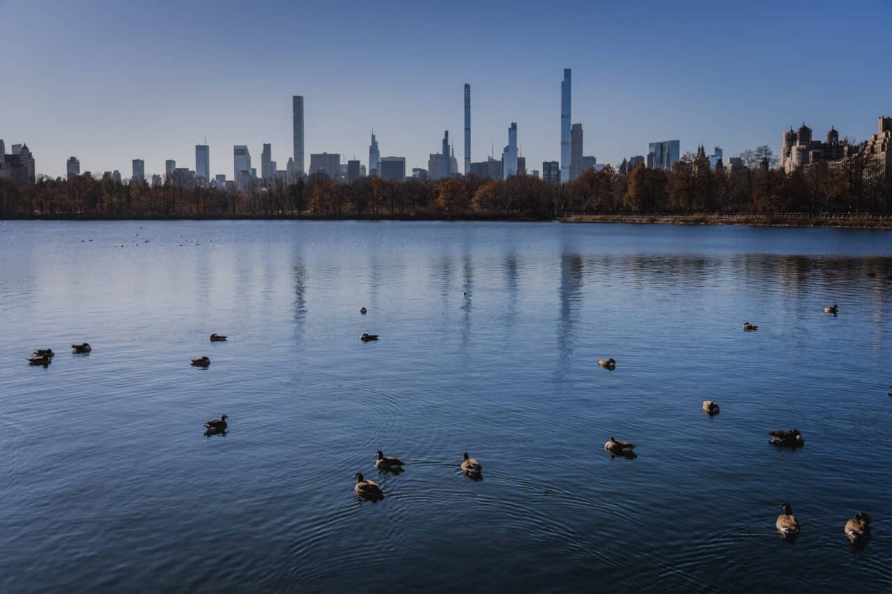 Where to go in January, New York, USA, central park