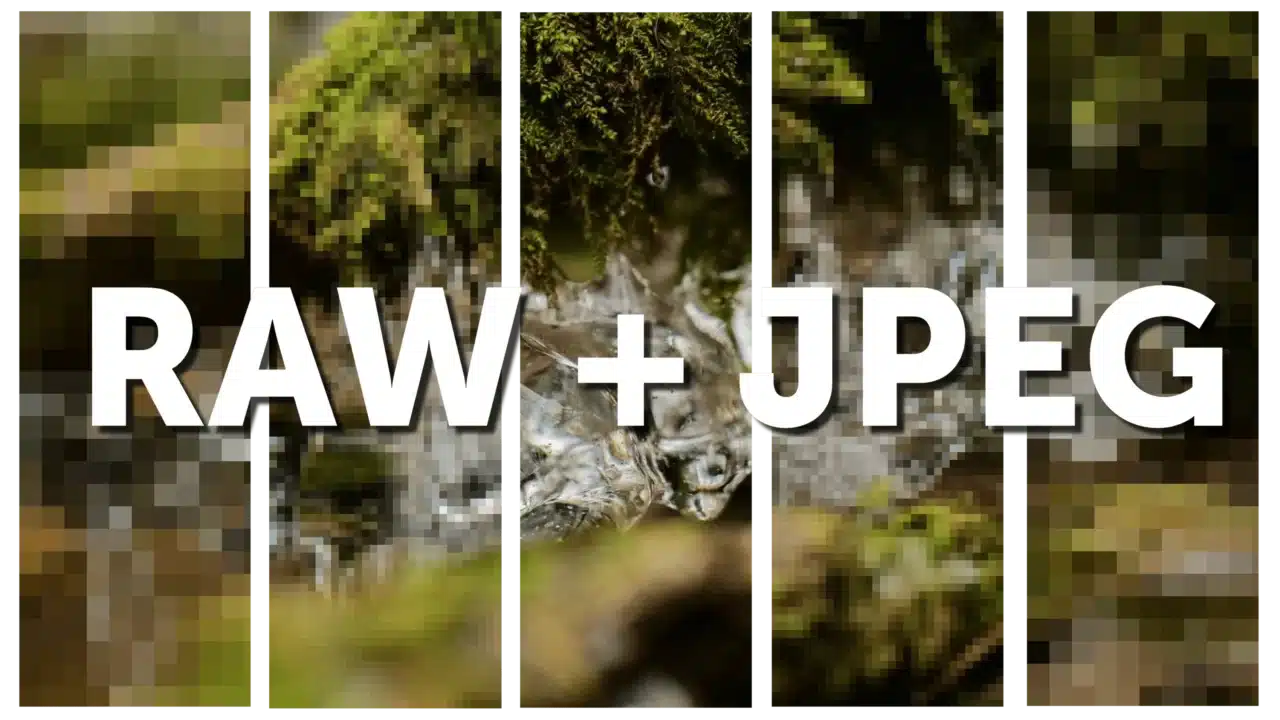 The Most-Read Articles of 2024,Mastering RAW and JPG Duo