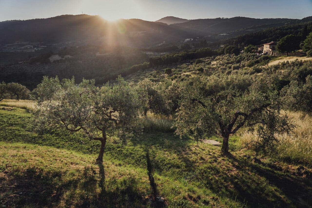 © Ondrej Čechvala, the hills surrounding Greve in Chianti