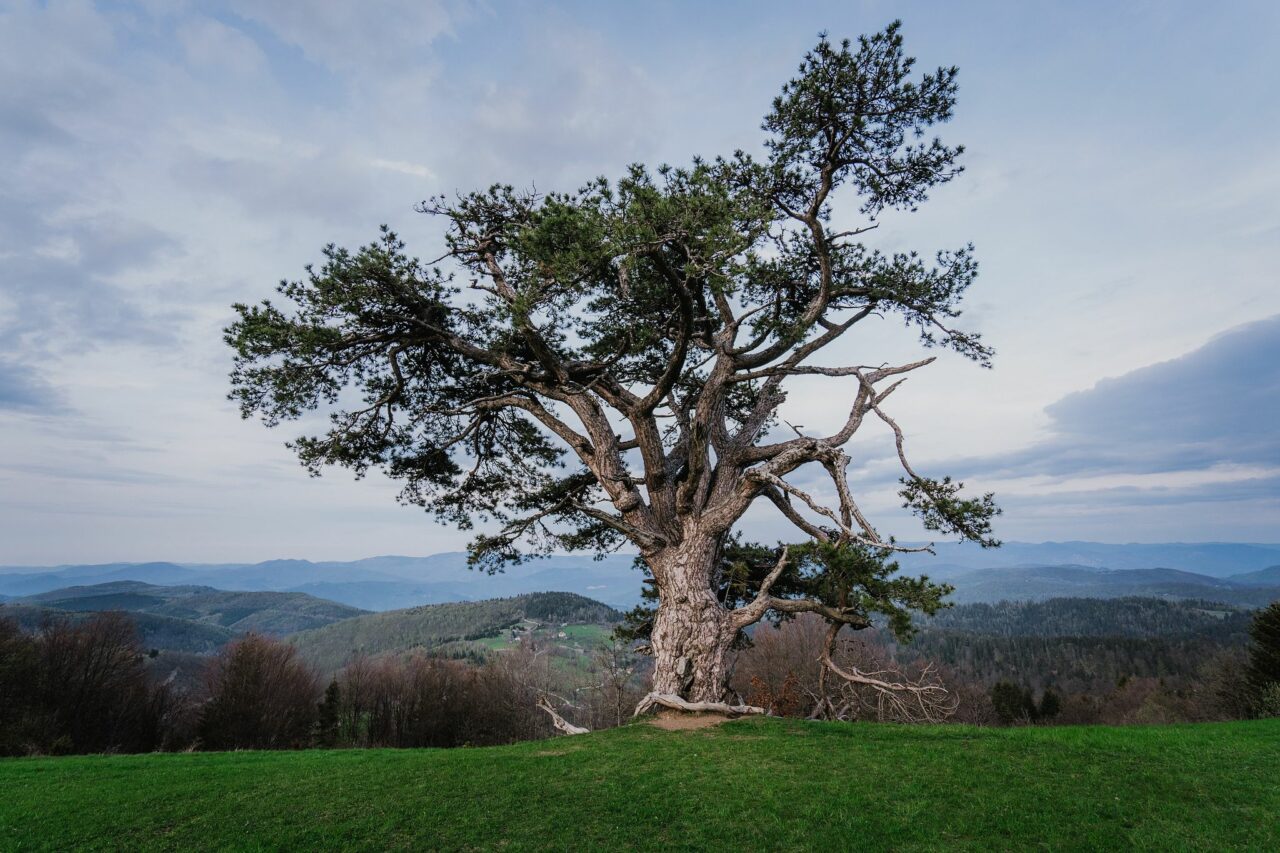 Travel Photography: Where to Go in April