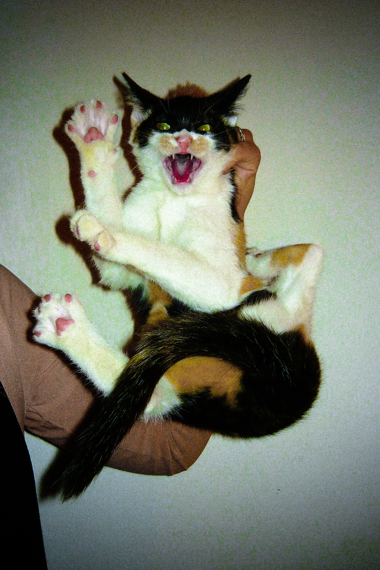 What is Fine-Art Photography?