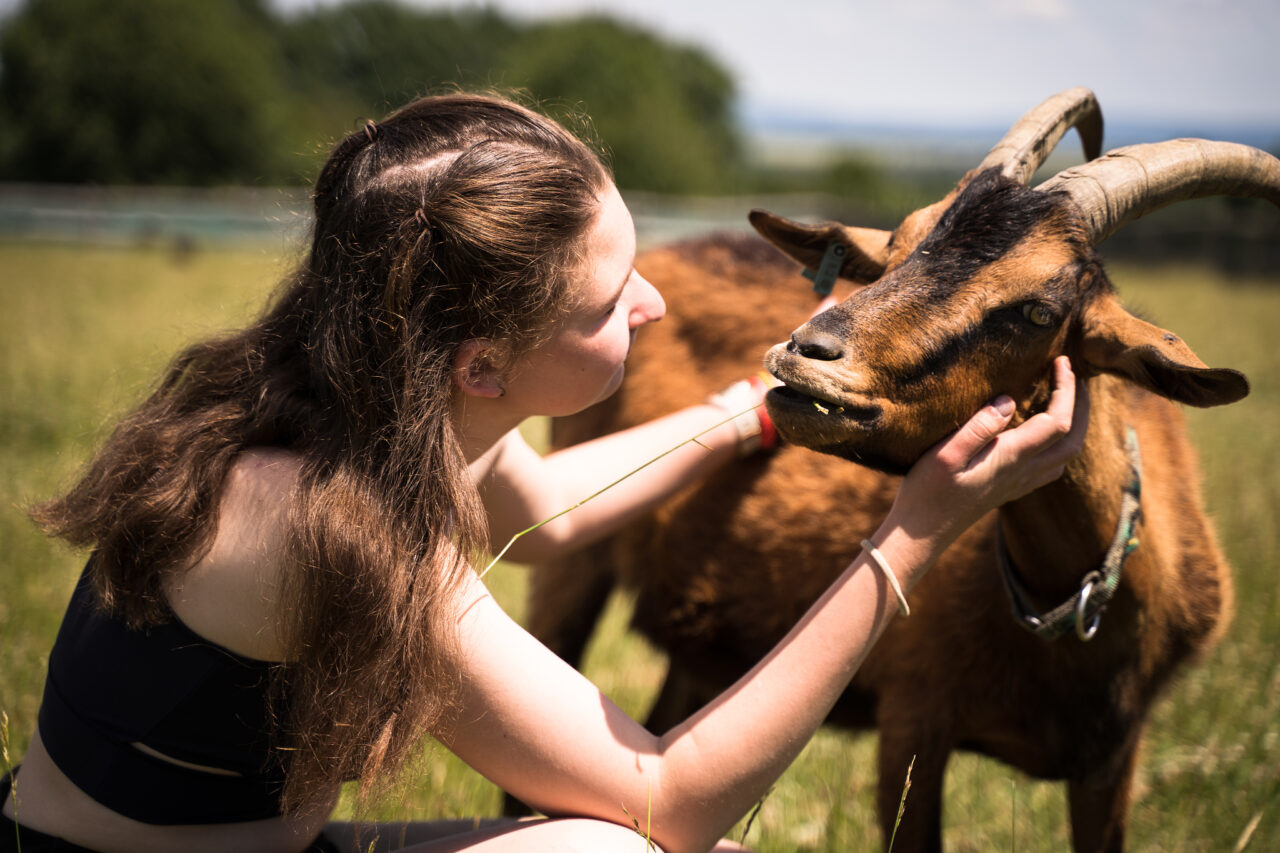 Down on the Farm Photography: Farm Animals as Photography Models