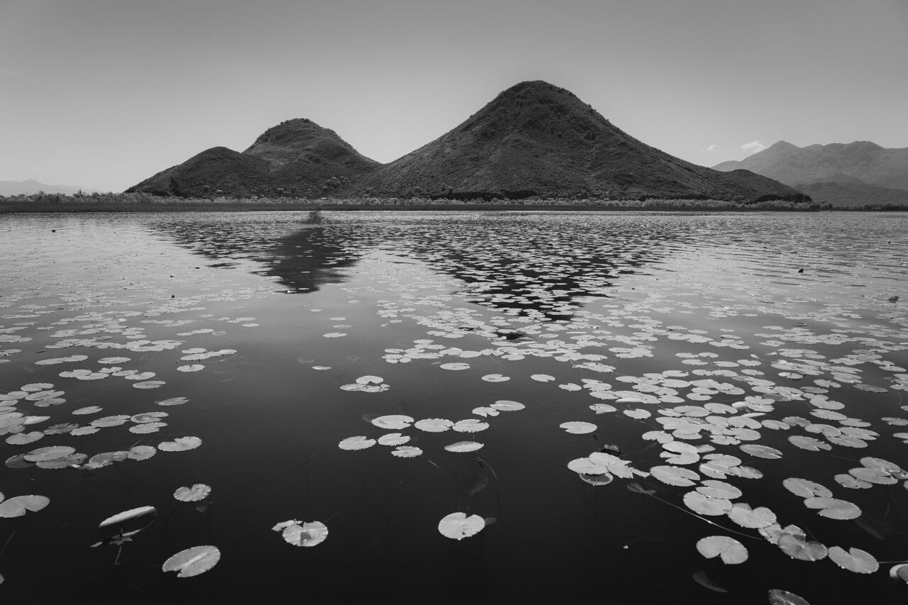 © Ondrej Čechvala, photo of a boat nearby the fishing village of Vranjina, where you can also arrange a boat ride with locals. Skadar Lake, Montenegro