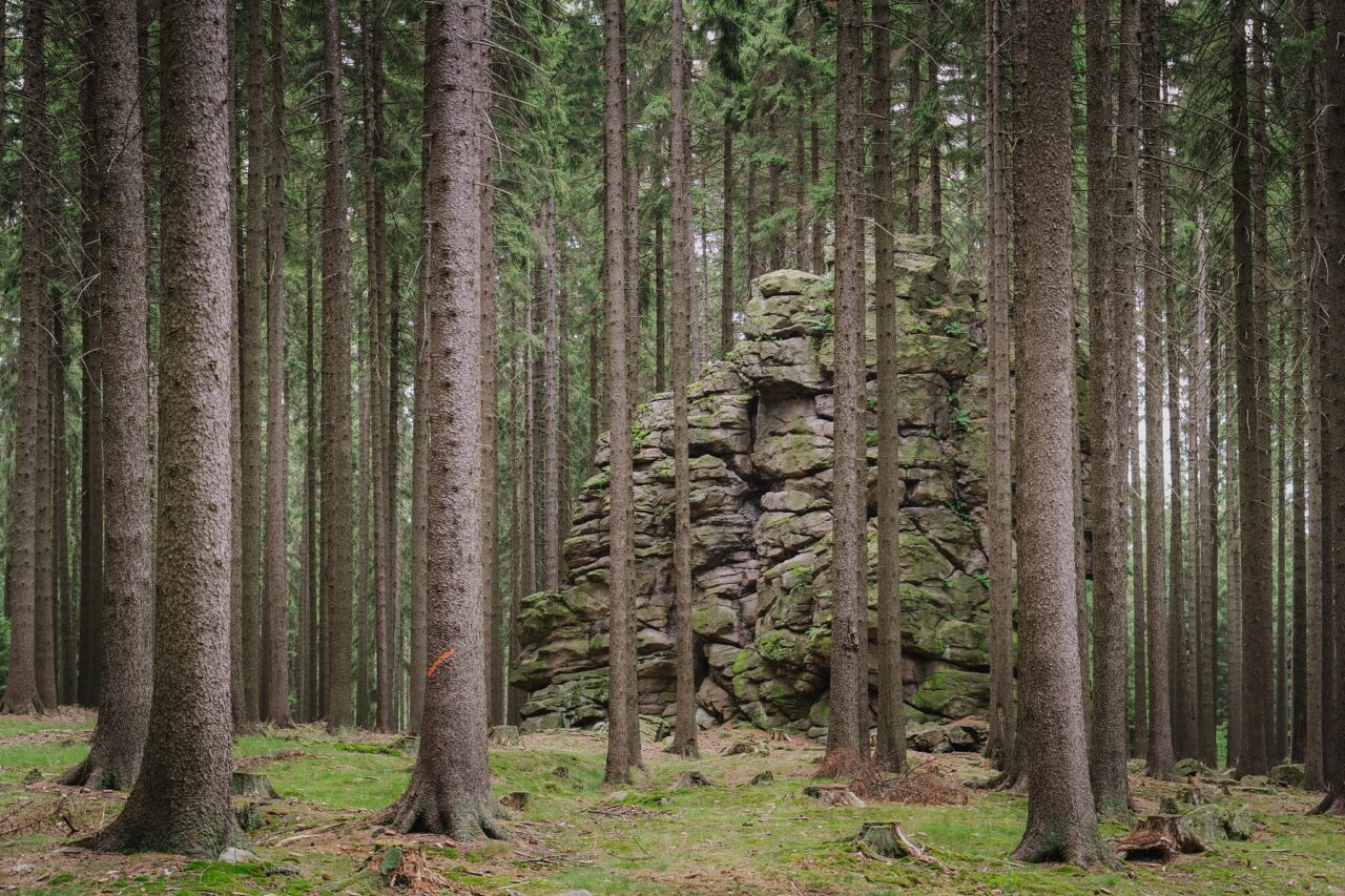 © Ondrej Čechvala, Žďárské vrchy, Czechia