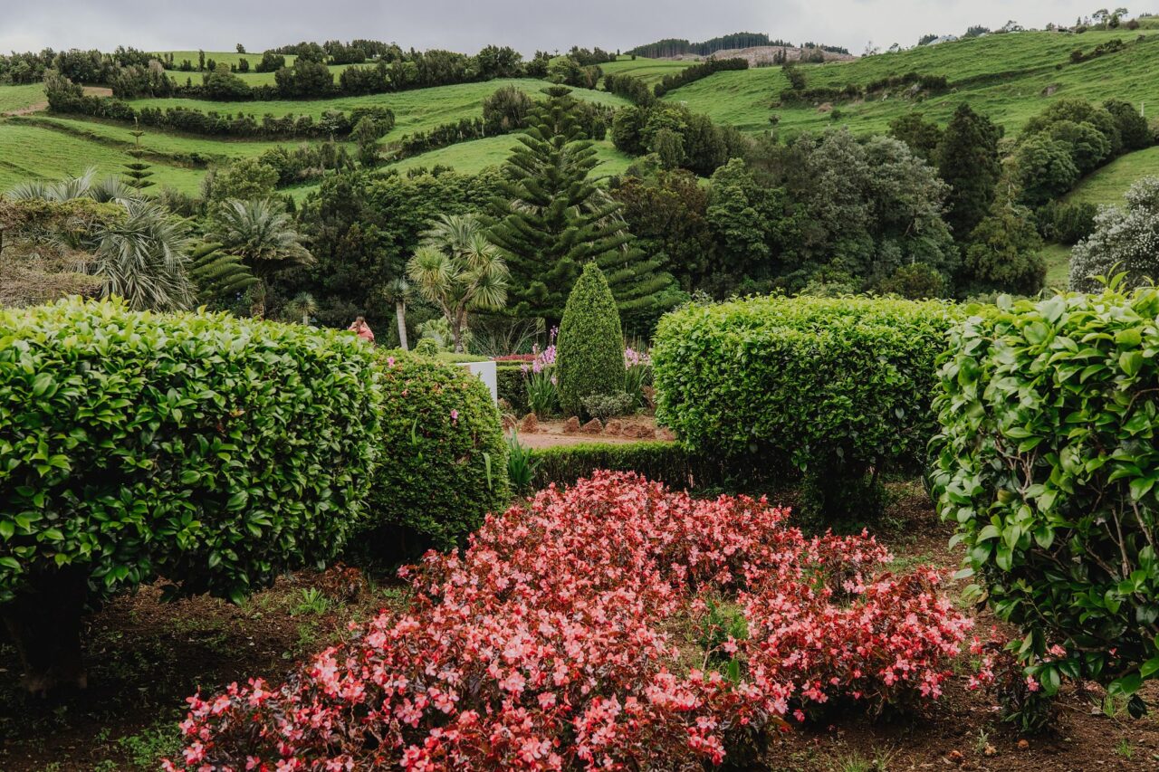 © Ondrej Čechvala, São Miguel, Portugal