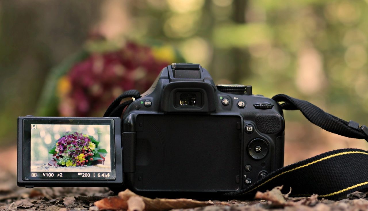 Choosing a Camera for Beginners