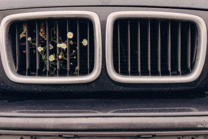 5 Reasons to Stick with Photography Long-Term