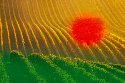 The Secret to Compelling Photos: Combining Masks in Zoner Studio