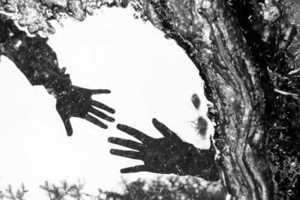 Black and White Winter Photography: How to Photograph Winter Scenes Without Color