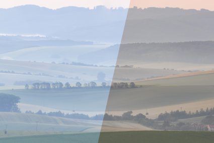 5 Adjustments to Make First in Every Photo