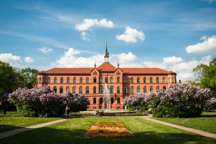 Central Composition in Photography: Tips, Tricks, and Inspiration for Portraits, Architecture, and LandscapesÂ