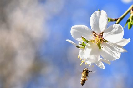 How to Earn Money with Stock Photography: A Photographer’s Perspective 