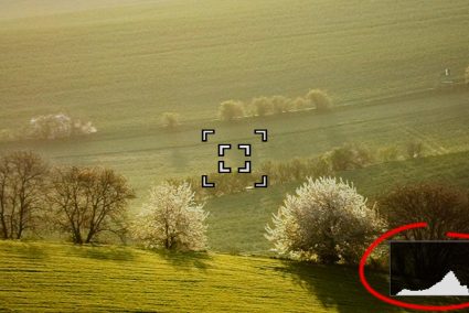 The Histogram in Practice: Using the Histogram for Landscape Photography