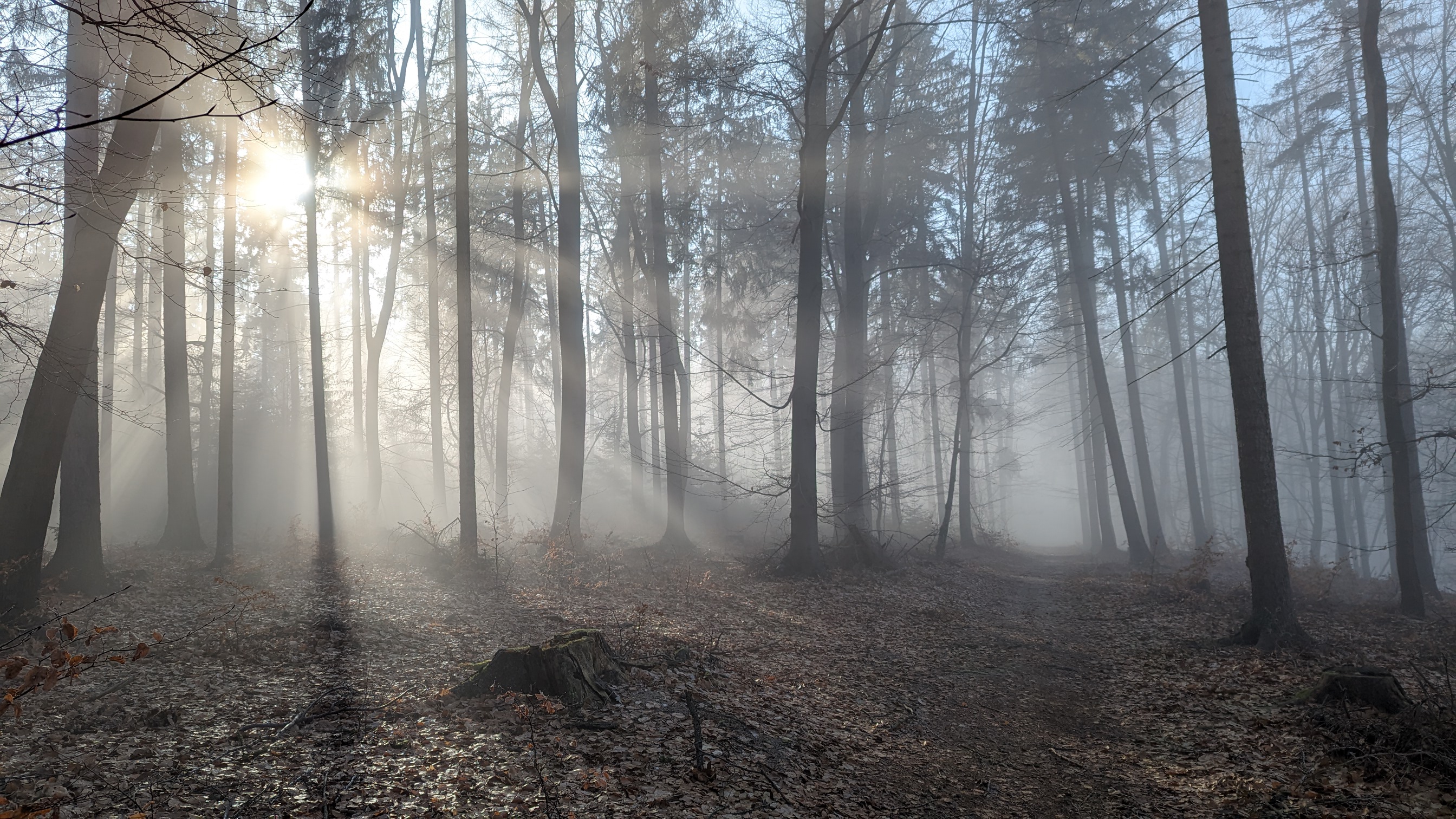 TOP 10 Photos from Our Readers, Pavel Mikovec